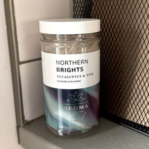 Bath & Body Works Northern Brights Shower Steamers